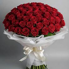 Букет 101 Красная роза Блэк Мэджик в Ханино