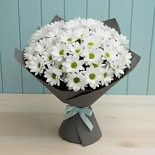 Букет цветов из:  Хризантемы #REPLACE_PRED# Ханино