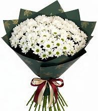 Букет цветов из:  Хризантемы в Ханино