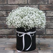 Цветочная композиция из Гипсофила в шляпной коробке #REPLACE_PRED# Ханино