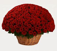 Премиум букет из: Розы в Ханино